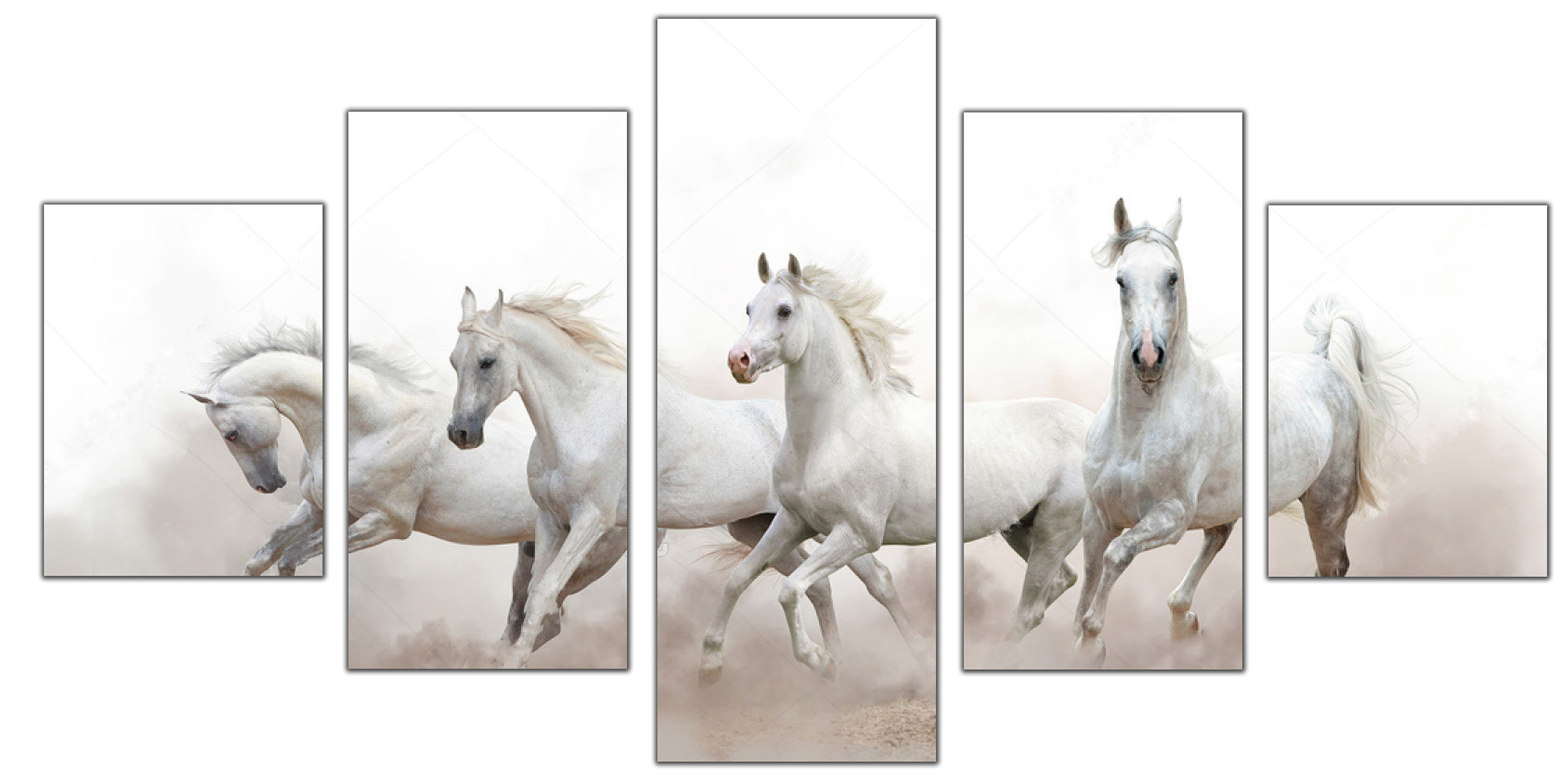 White Horses