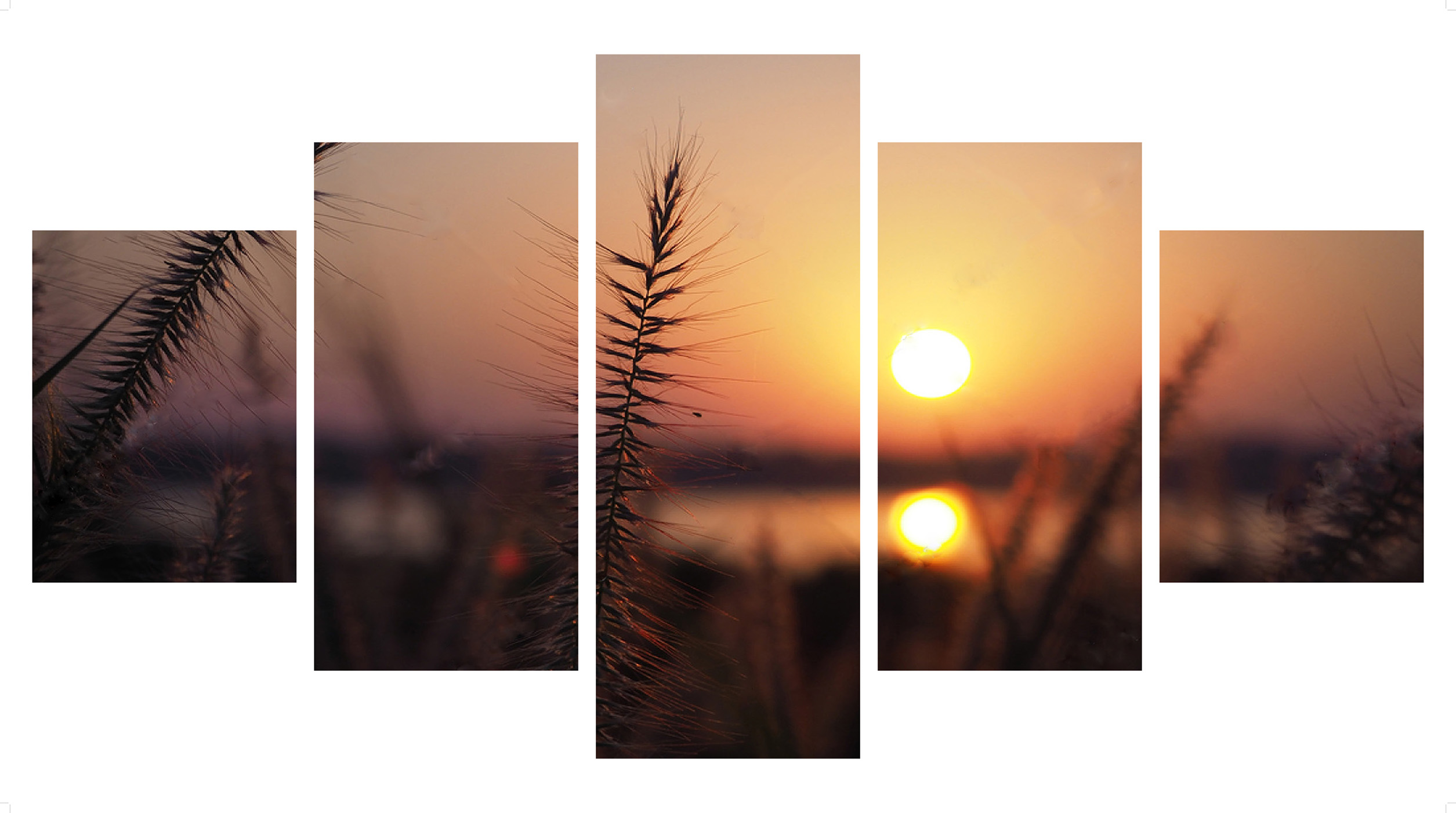 natural-landscape-and-sun-rising-at-skyline